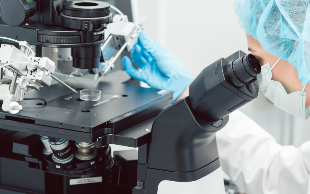 Trust on the Move: Managing Risk in IVF Lab Relocation